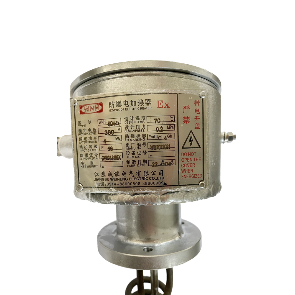 380V 4KW ATEX certificated immersion heater