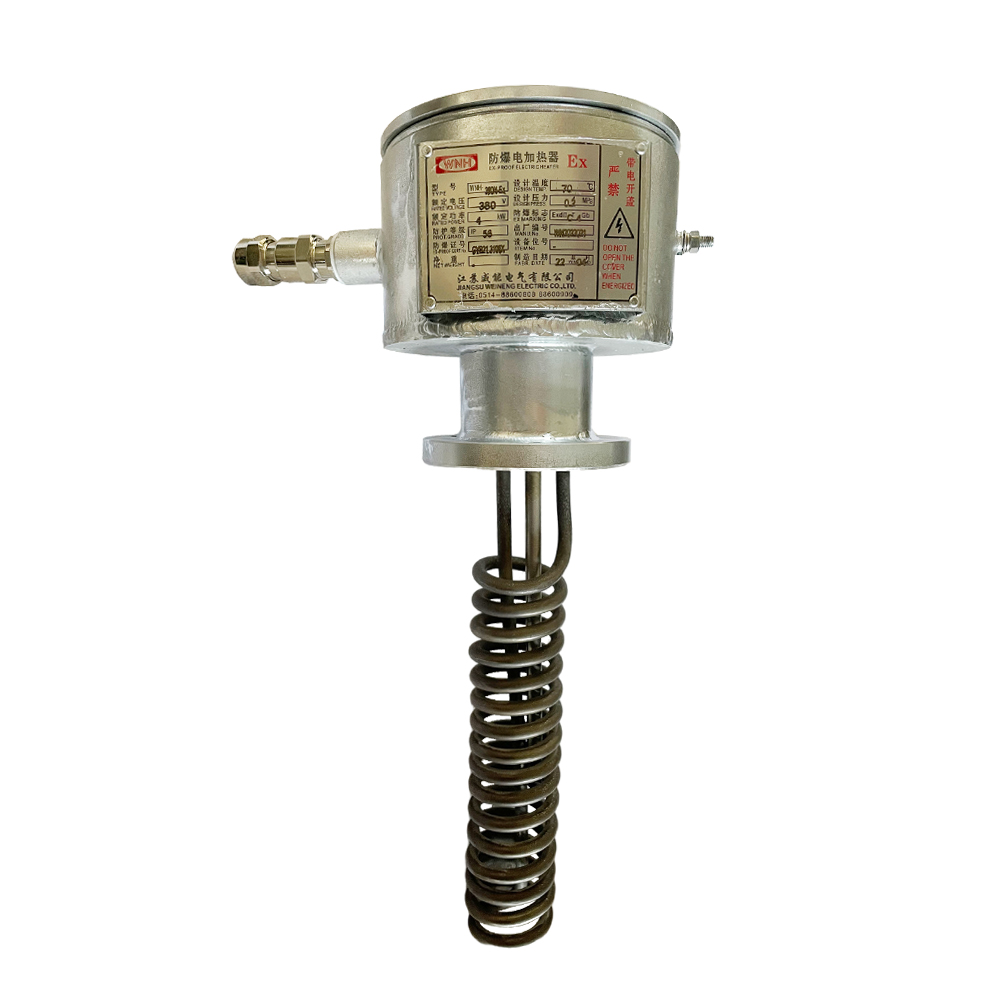 380V 4KW ATEX certificated immersion heater